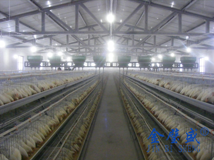 �A��ʽ�B(y��ng)�u�O(sh��)��-���u