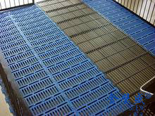 �B(y��ng)�i�O��14