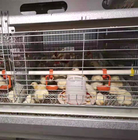 �r�u�O(sh��)���Q����