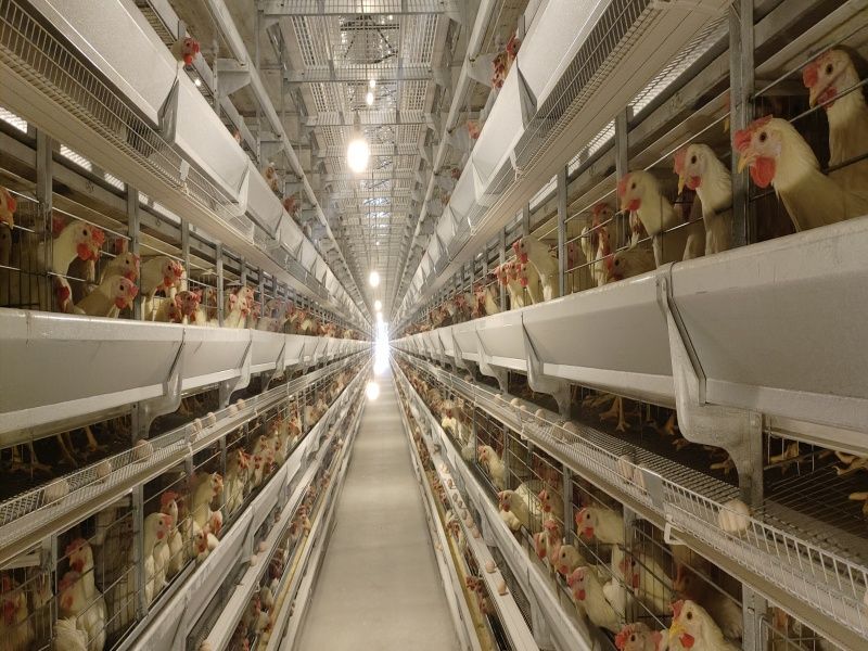 5��8�ӆΗ�ʮ�f(w��n)���u�\